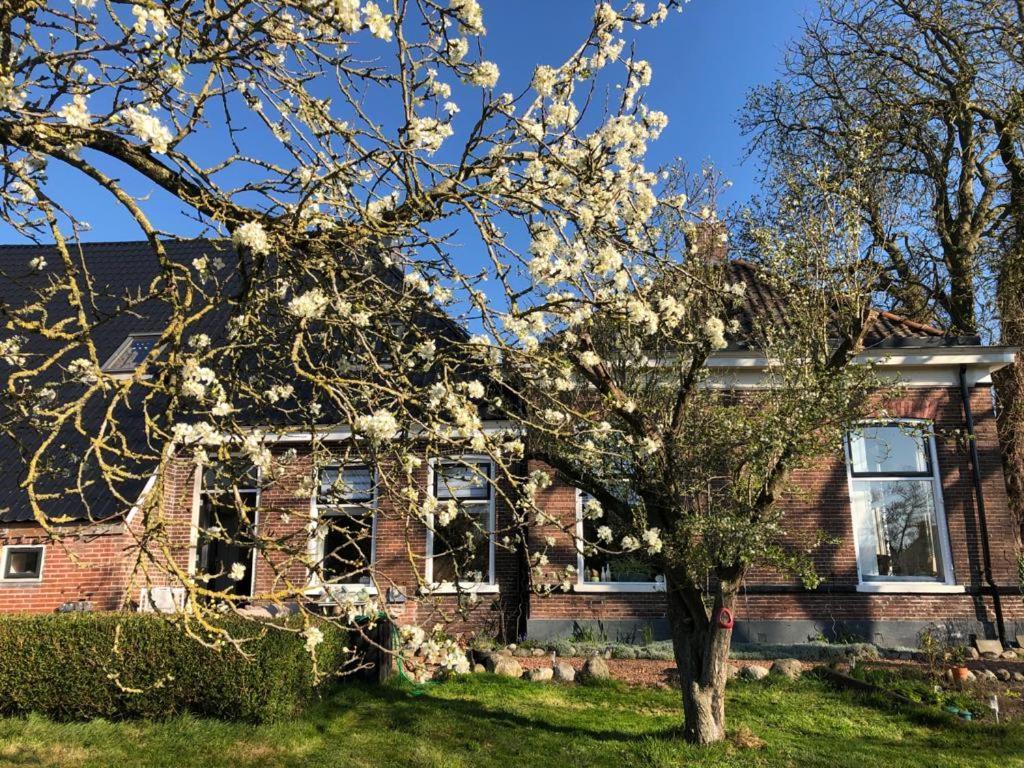 Onder De Boom Bed & Breakfast Gerkesklooster Exterior foto